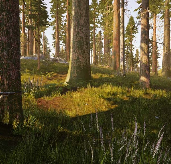 Hunting Simulator